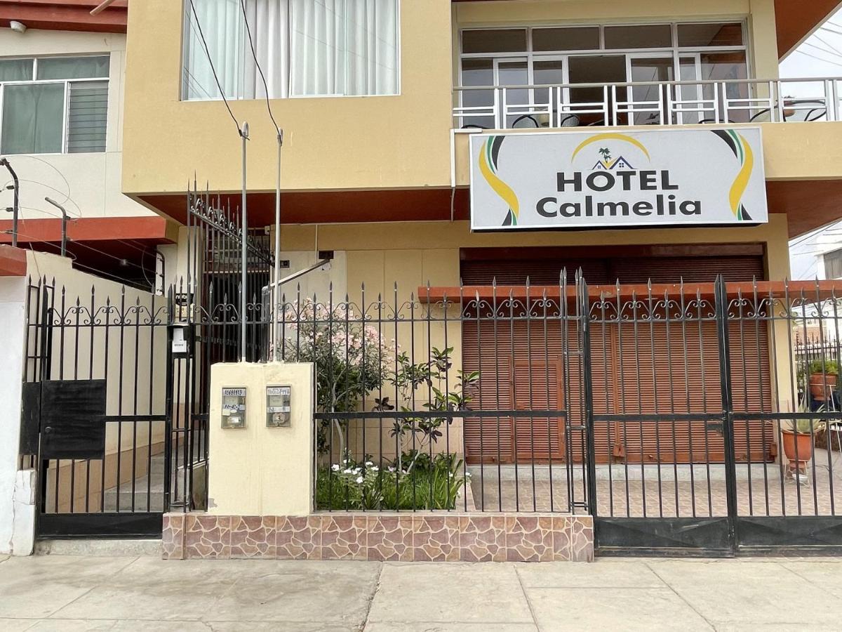 Hotel Calmelia ปิวรา ภายนอก รูปภาพ